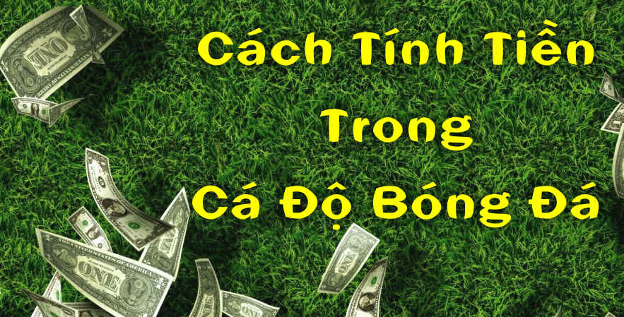 Cách Tính Tiền Trong Cá Độ Bóng Đá Cho Mọi Loại Kèo Cược