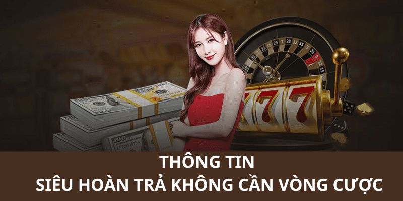 Nội dung chi tiết về ưu đãi siêu hoàn trả tại nhà cái 