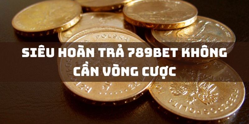 Siêu Hoàn Trả Không Cần Vòng Cược - Khám Phá Sự Kiện Hot Nhất